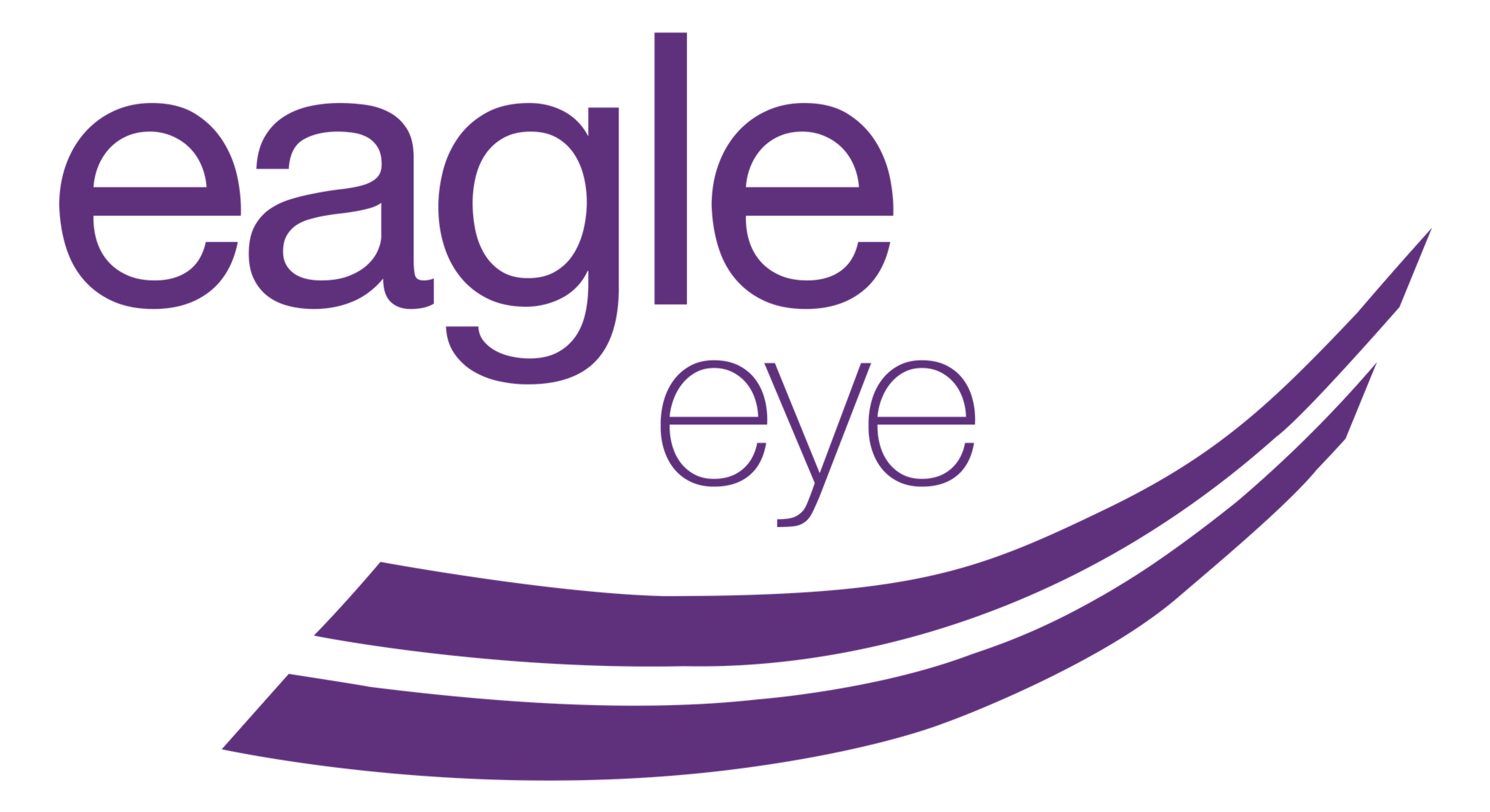 Eagle Eye Networks